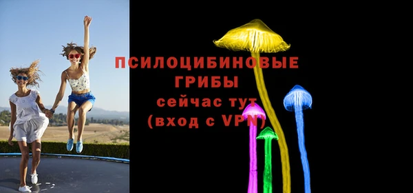 СК Балахна