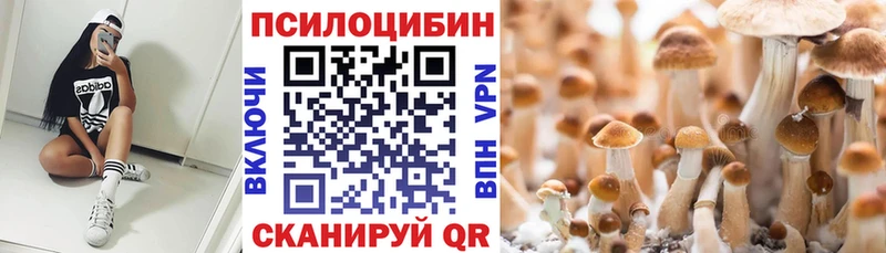 Галлюциногенные грибы мухоморы  Светлогорск 