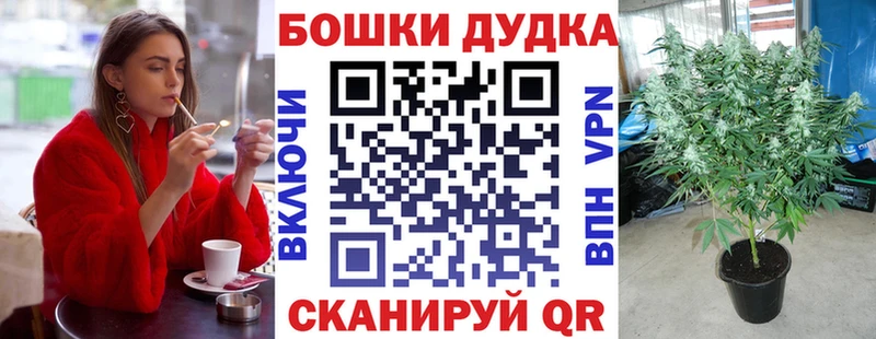 наркотики  Светлогорск  shop официальный сайт  Каннабис сатива 